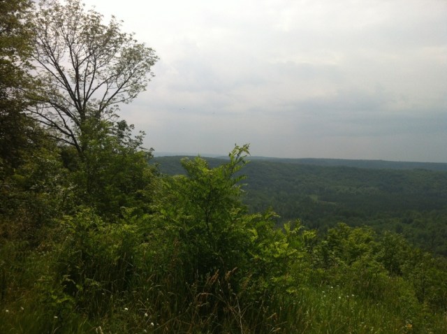 20130707-082513.jpg